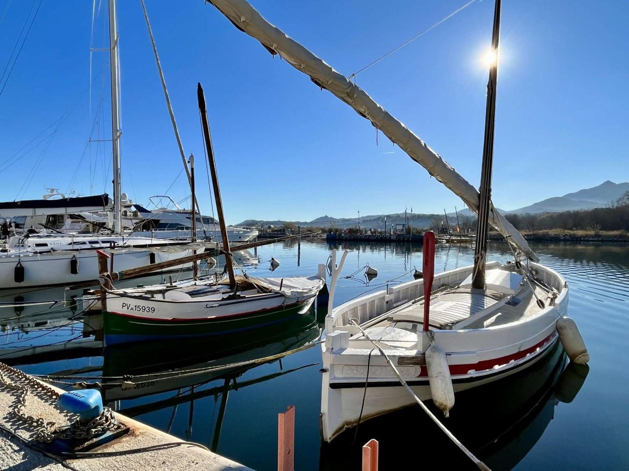 Appartement Argelès-sur-Mer, 2 pièces, 6 personnes - FR-1-225-464 Esterno foto